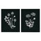 Stupell Industries Black and White Flower Cluster 2 pc Canvas Wall Art Set Design by House Fenway